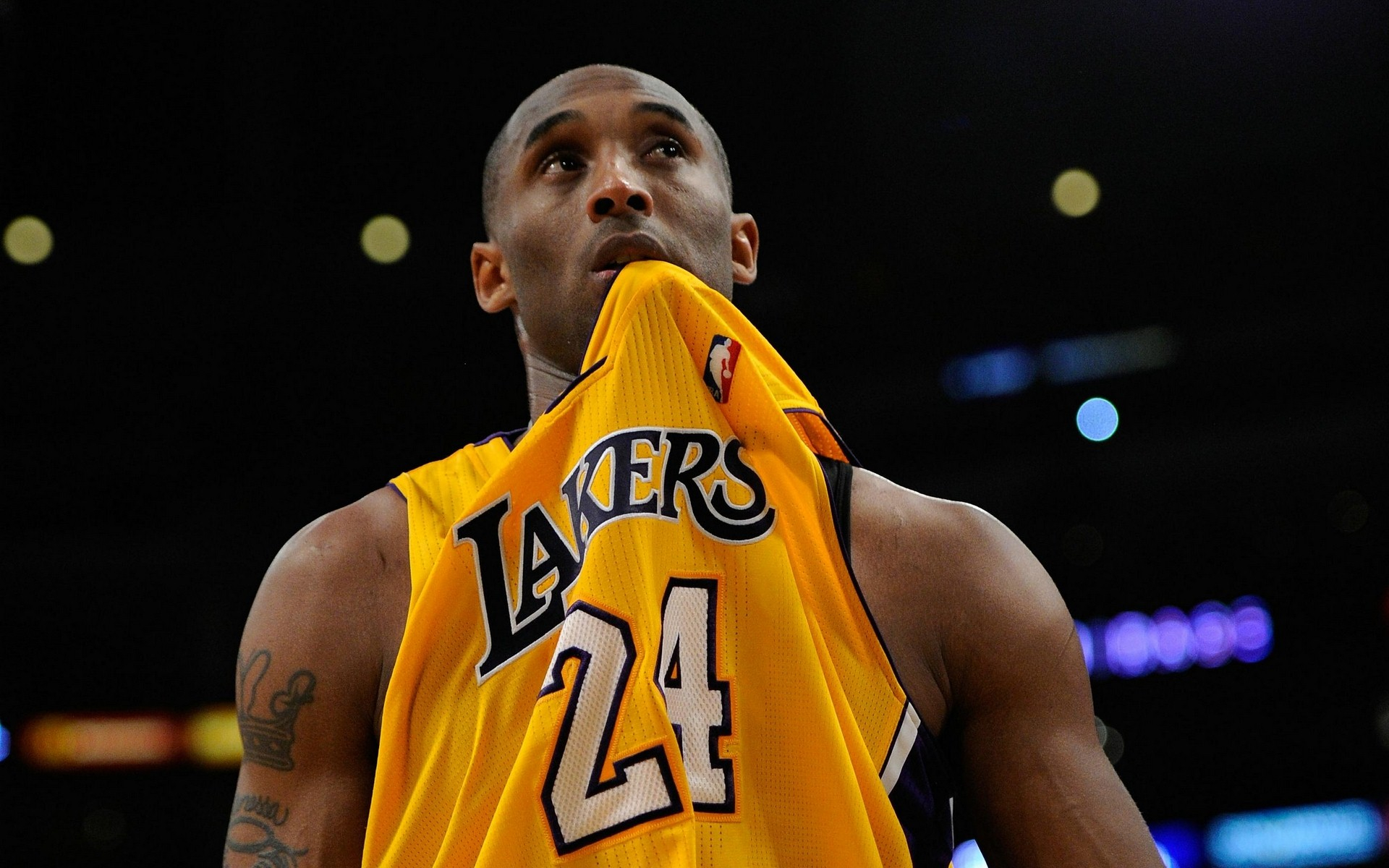 在类似的案 在类似的案